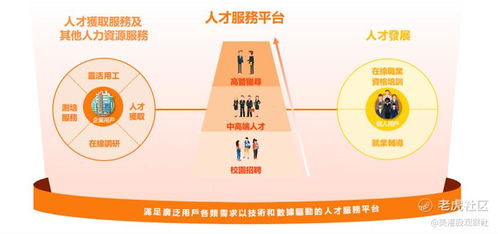 獵聘上半年高速增長,橫縱發(fā)展彰顯長期空間