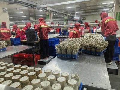 市農(nóng)業(yè)農(nóng)村局局長(zhǎng)于靈才帶隊(duì)赴廈門開展招商引資 促進(jìn)農(nóng)業(yè)貿(mào)易合作