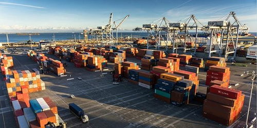 全球貿易受阻中的破冰之舉 阿里巴巴國際站“春雷計劃”與線上展會引領新航向